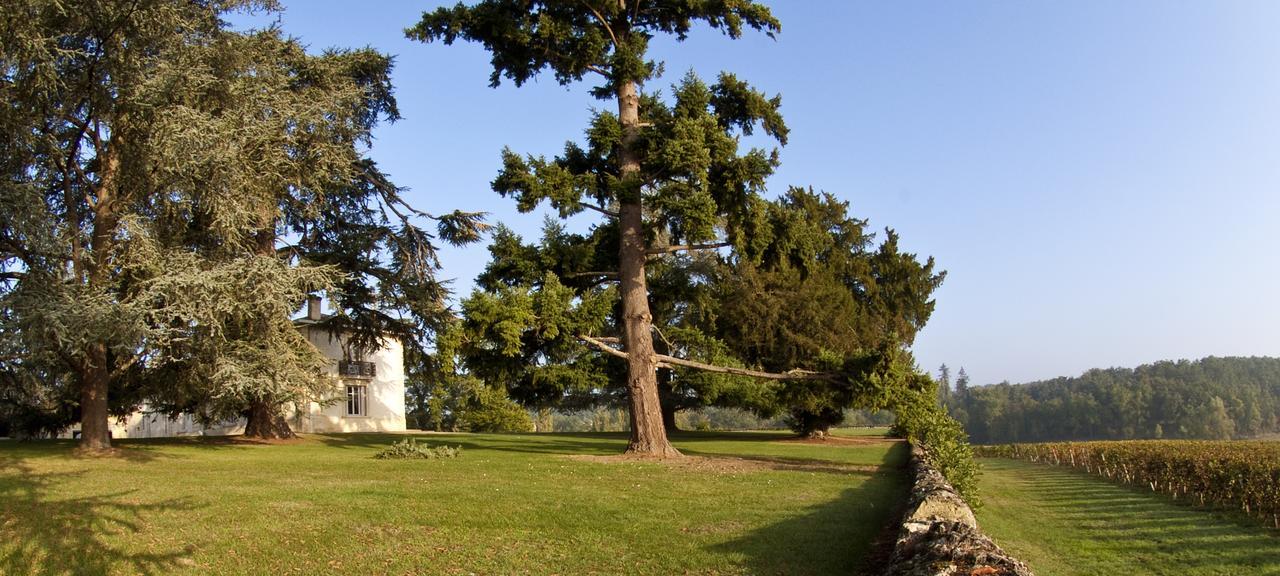 Pey La Tour - Logis Hotels & Restaurant Salleboeuf المظهر الخارجي الصورة
